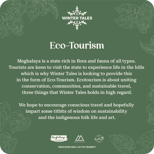 Winter Tales Eco Tourism
